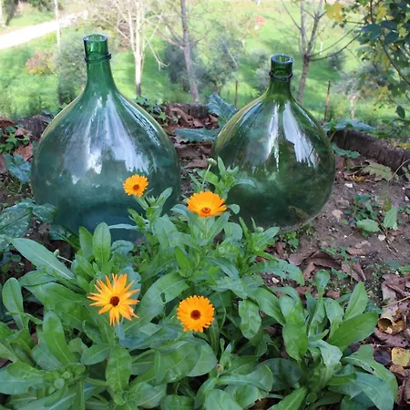 فندق مبيت وإفطار Agriturismo San Martino