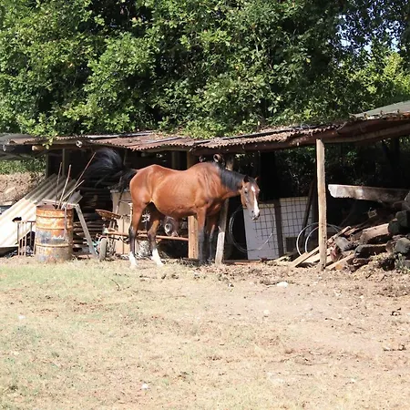 فندق مبيت وإفطار Agriturismo San Martino 3*