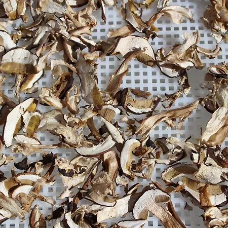 فندق مبيت وإفطار Agriturismo San Martino