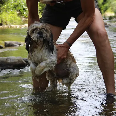 Agriturismo San Martino Monte San Martino