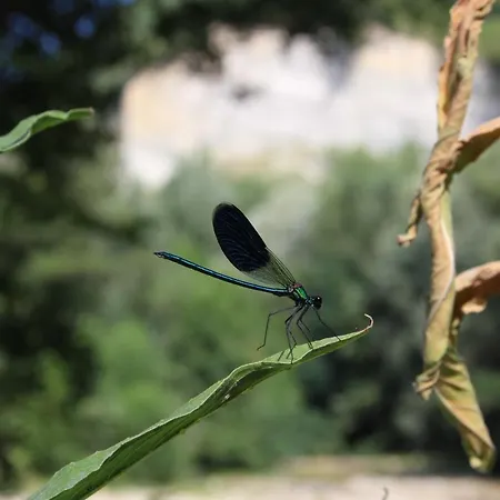 Agriturismo San Martino 3* Monte San Martino